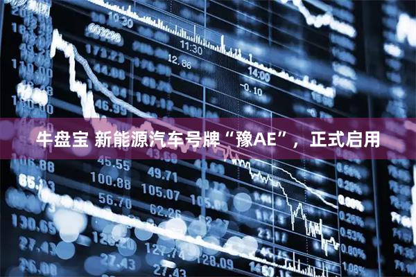 牛盘宝 新能源汽车号牌“豫AE”,正式启用