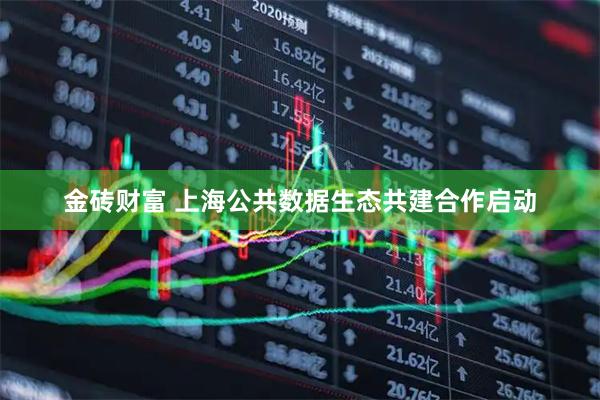 金砖财富 上海公共数据生态共建合作启动