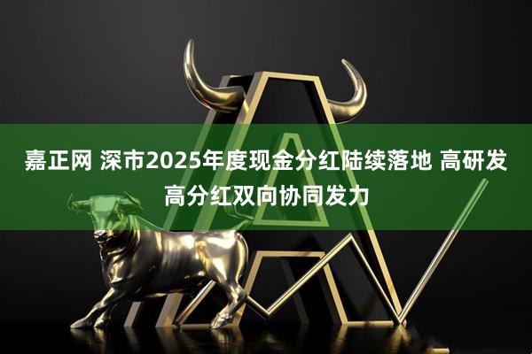 嘉正网 深市2025年度现金分红陆续落地 高研发高分红双向协同发力