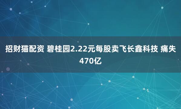招财猫配资 碧桂园2.22元每股卖飞长鑫科技 痛失470亿